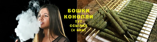 ПСИЛОЦИБИНОВЫЕ ГРИБЫ Балабаново