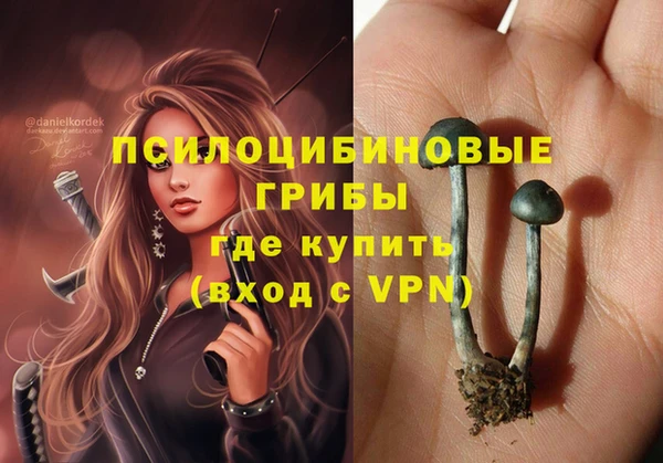 ПСИЛОЦИБИНОВЫЕ ГРИБЫ Балабаново