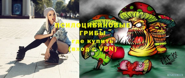 бошки Арсеньев